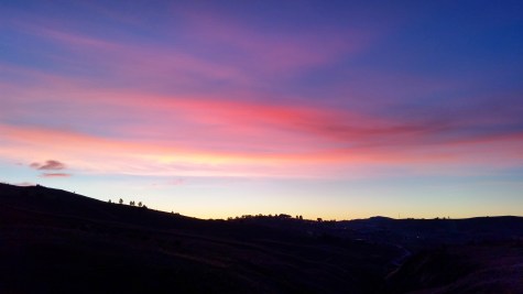 IMG_20170531_122425_808